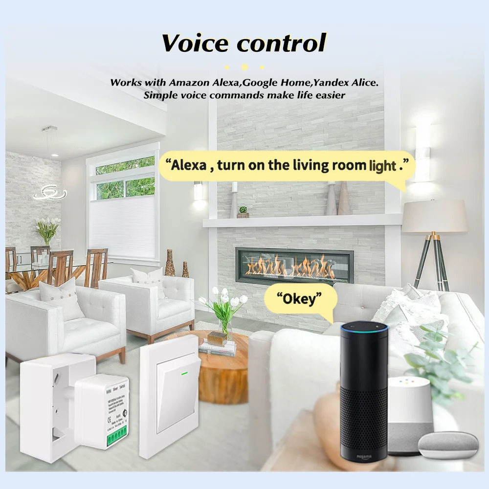 Tuya 미니 스마트 WiFi 스위치 16A Zigbe - Smart Home Diy 리뷰 및 가격